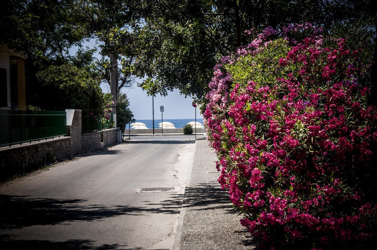 Oliveto A Mare - Suite & Apartment Ascea Luaran gambar
