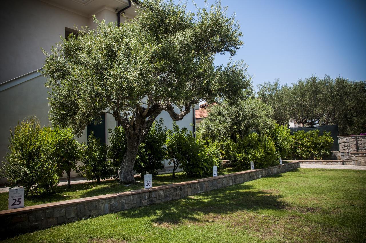 Oliveto A Mare - Suite & Apartment Ascea Luaran gambar