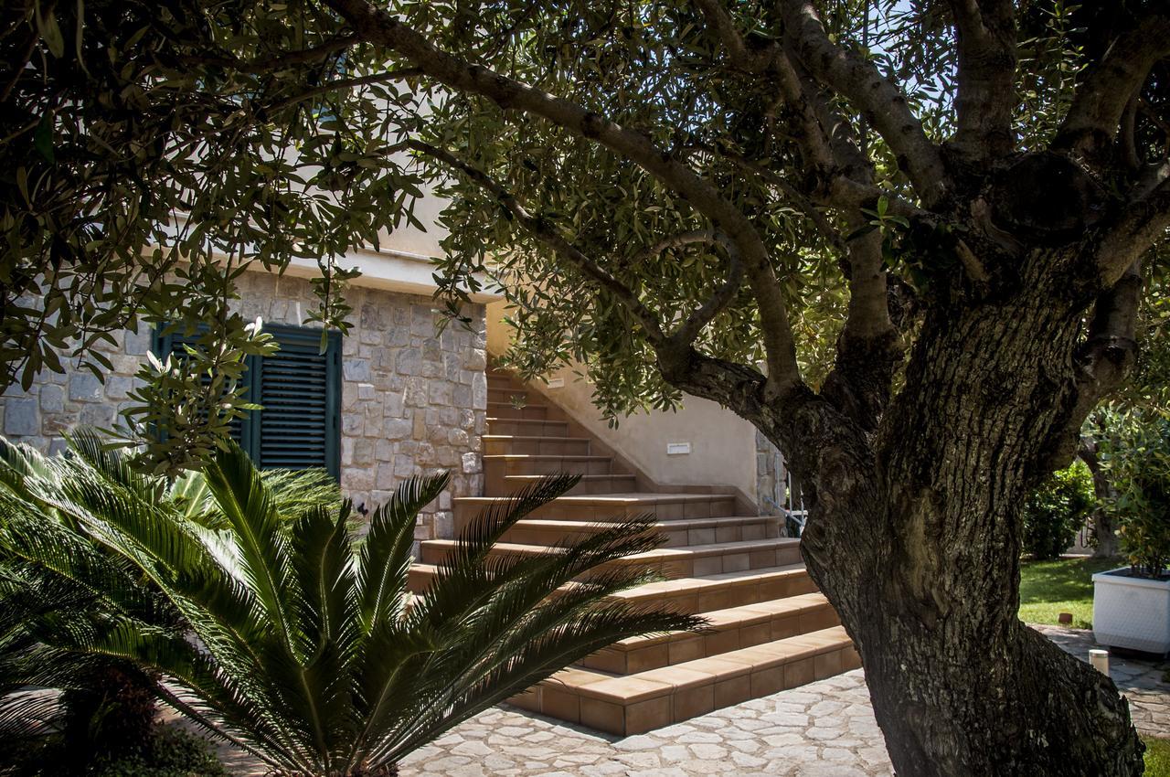 Oliveto A Mare - Suite & Apartment Ascea Luaran gambar