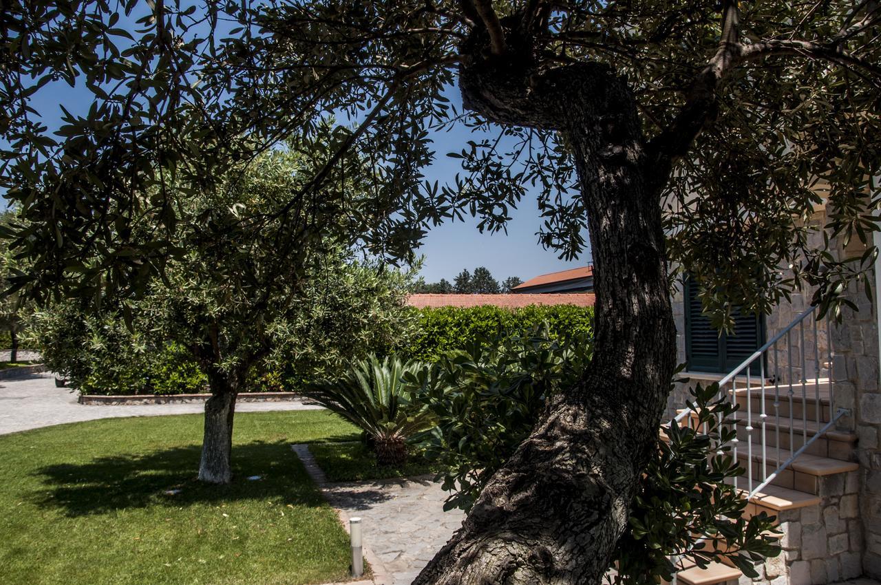 Oliveto A Mare - Suite & Apartment Ascea Luaran gambar