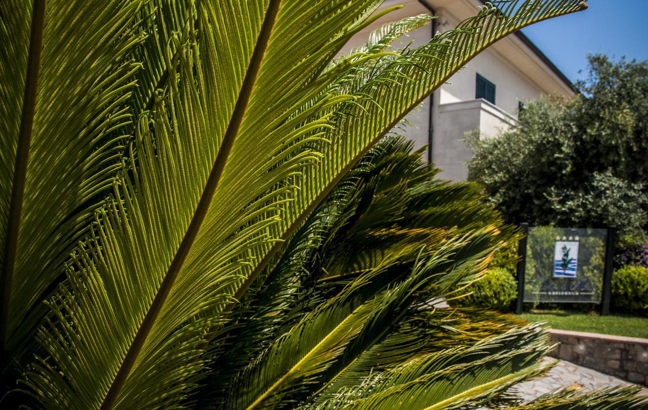 Oliveto A Mare - Suite & Apartment Ascea Luaran gambar